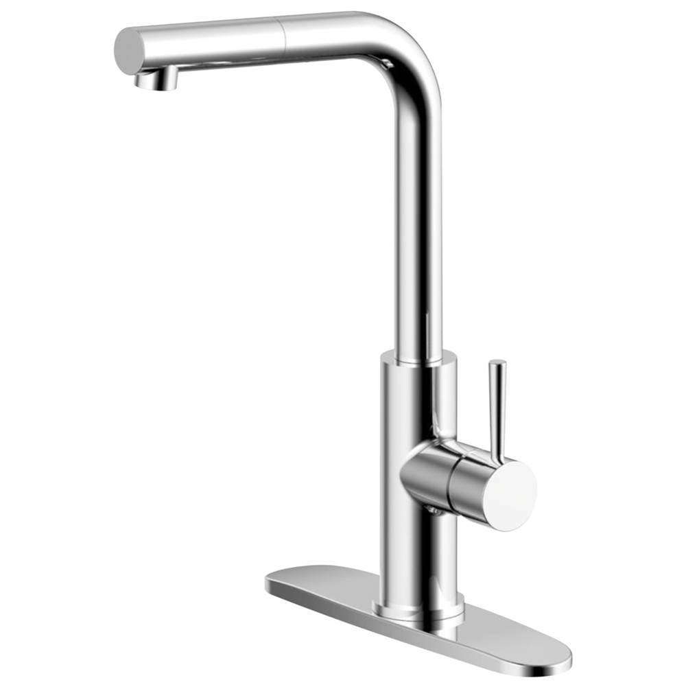 Compass Manufacturing Casmir 5173 Chrome Single Handle Pull-Out Kitchen Faucet