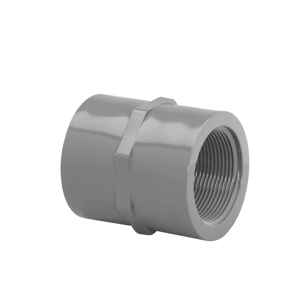 Westlake Pipes & Fittings 2 1/2 Fpt X Fpt Coupling