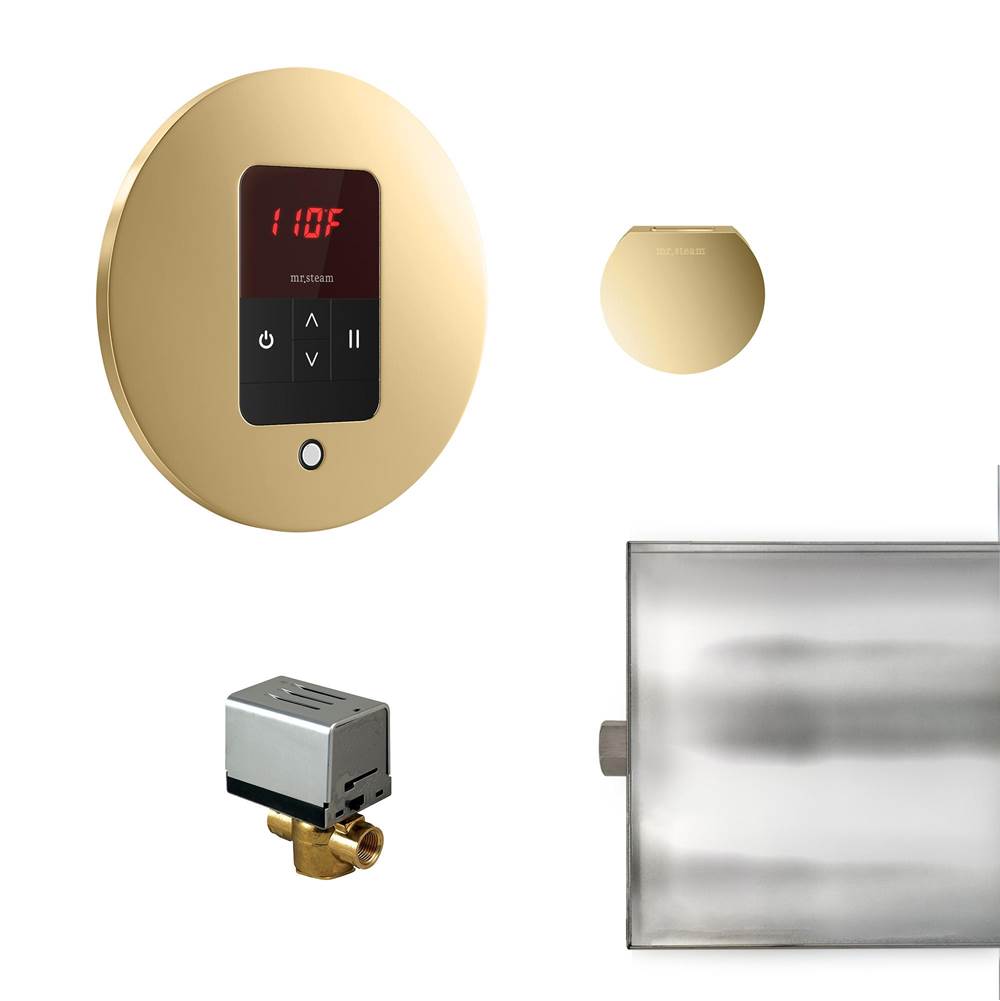 Mr. Steam Basic Butler Steam Shower Control Package with iTempo Control and Aroma Designer SteamHead in Round Polished Brass
