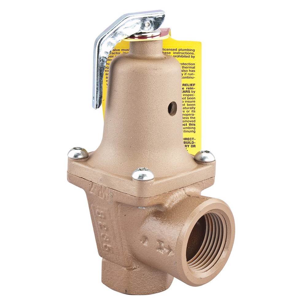 Watts 2 In Iron Boiler Pressure Relief Valve, 30 psi, Expanded Outlets