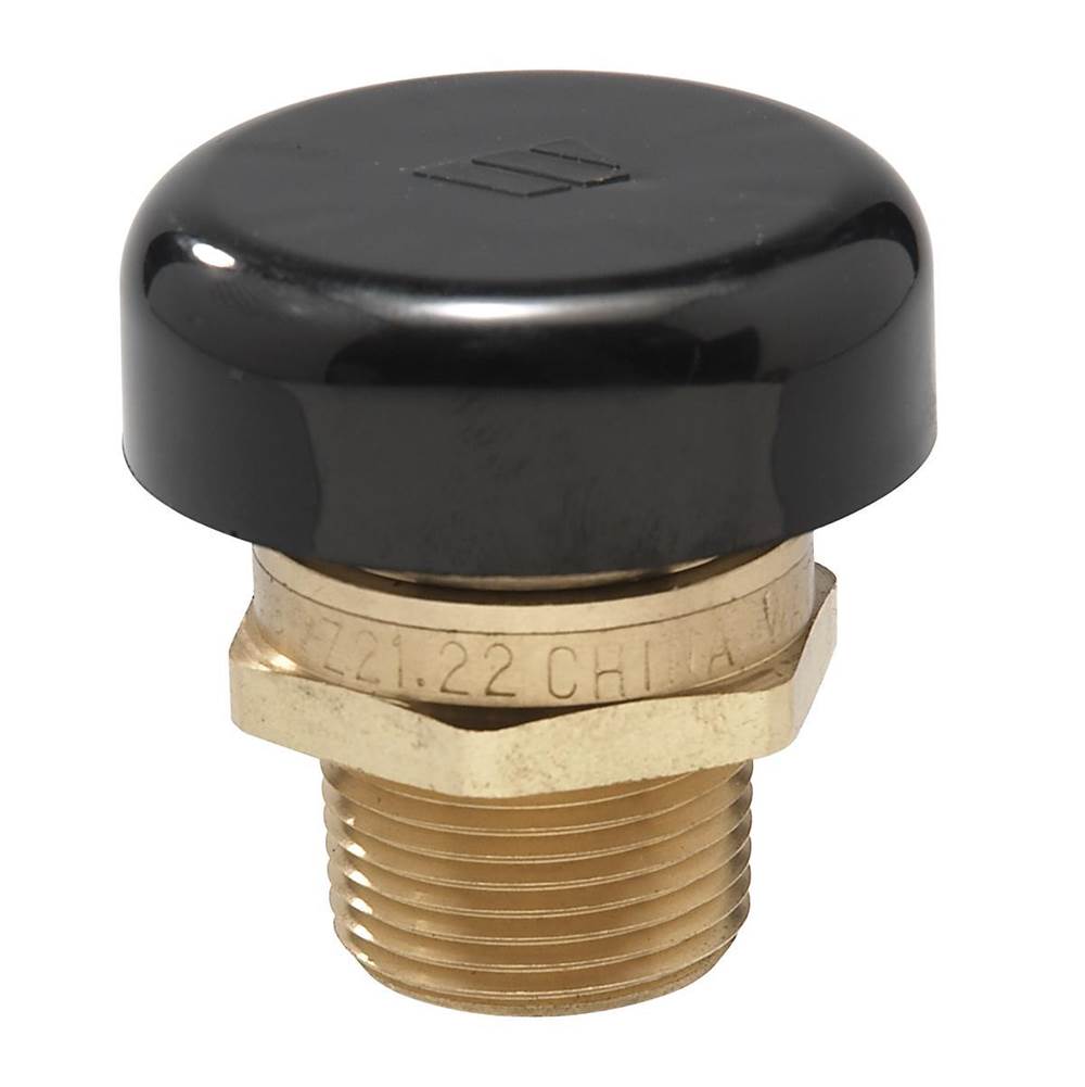 Watts 3/4 In Lead Free Brass Vacuum Relief Valve, Male Npt, Protective Cap